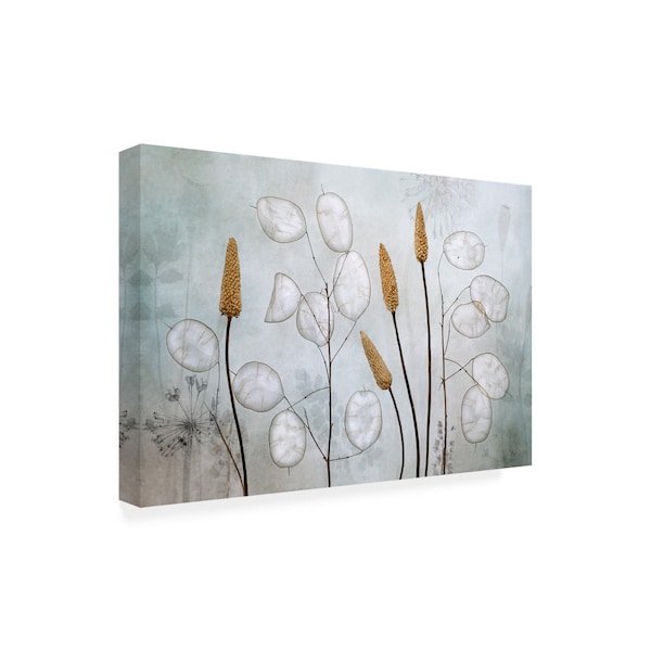 Mandy Disher 'Lunaria' Canvas Art,22x32